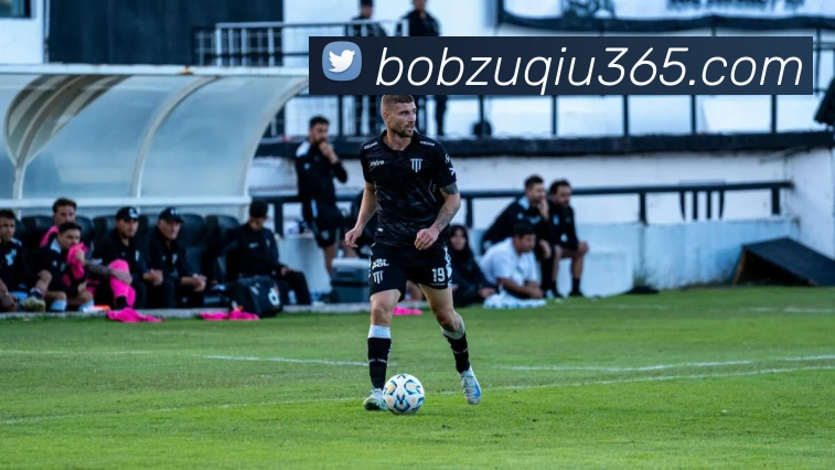 BOB体育平台生态图